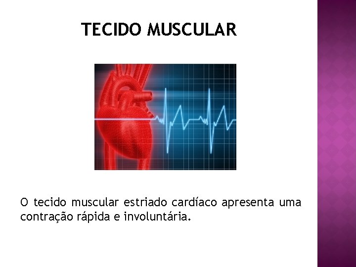 TECIDO MUSCULAR O tecido muscular estriado cardíaco apresenta uma contração rápida e involuntária. 