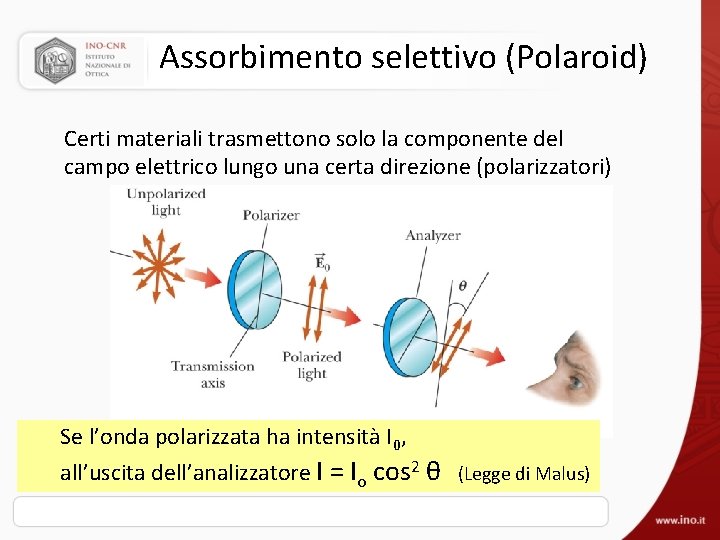 Assorbimento selettivo (Polaroid) Certi materiali trasmettono solo la componente del campo elettrico lungo una