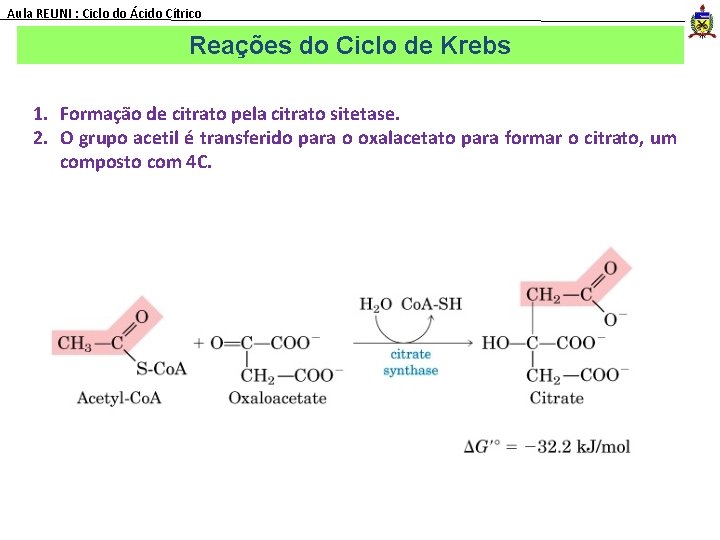 Aula REUNI : Ciclo do Ácido Cítrico Reações do Ciclo de Krebs 1. Formação