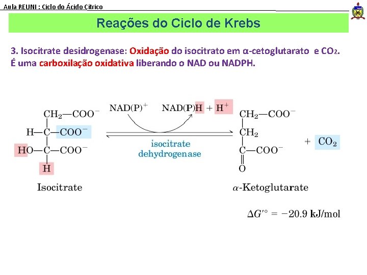 Aula REUNI : Ciclo do Ácido Cítrico Reações do Ciclo de Krebs 3. Isocitrate