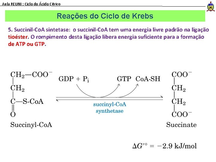 Aula REUNI : Ciclo do Ácido Cítrico Reações do Ciclo de Krebs 5. Succinil-Co.