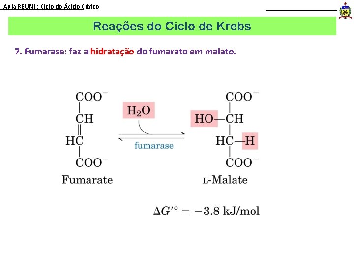 Aula REUNI : Ciclo do Ácido Cítrico Reações do Ciclo de Krebs 7. Fumarase: