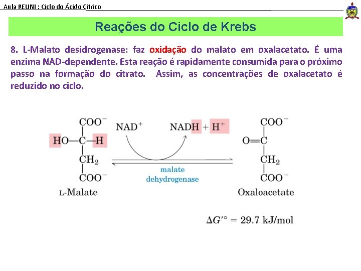 Aula REUNI : Ciclo do Ácido Cítrico Reações do Ciclo de Krebs 8. L-Malato