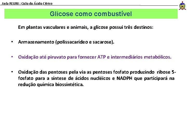 Aula REUNI : Ciclo do Ácido Cítrico Glicose como combustível Em plantas vasculares e