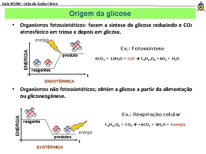 Aula REUNI : Ciclo do Ácido Cítrico Origem da glicose • Organismos fotossintéticos: fazem