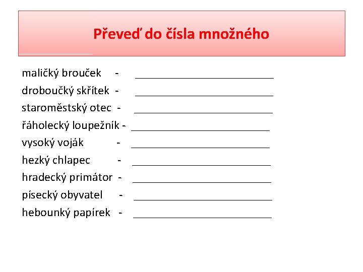 Převeď do čísla množného maličký brouček droboučký skřítek staroměstský otec řáholecký loupežník vysoký voják