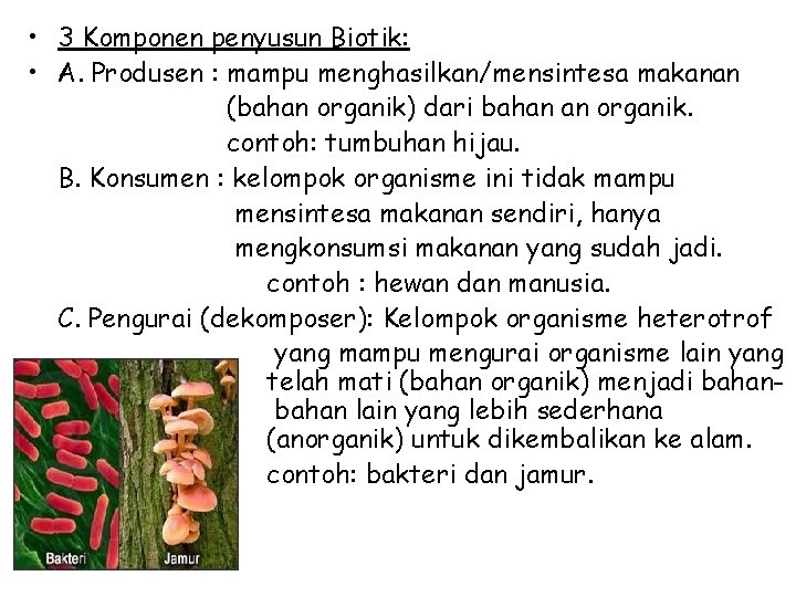  • 3 Komponen penyusun Biotik: • A. Produsen : mampu menghasilkan/mensintesa makanan (bahan