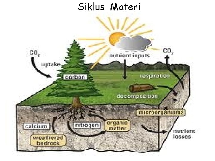 Siklus Materi 