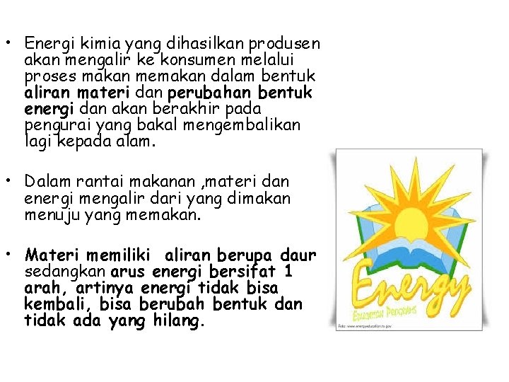  • Energi kimia yang dihasilkan produsen akan mengalir ke konsumen melalui proses makan