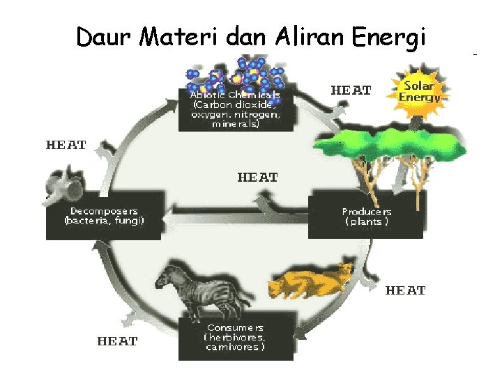 Daur Materi dan Aliran Energi 