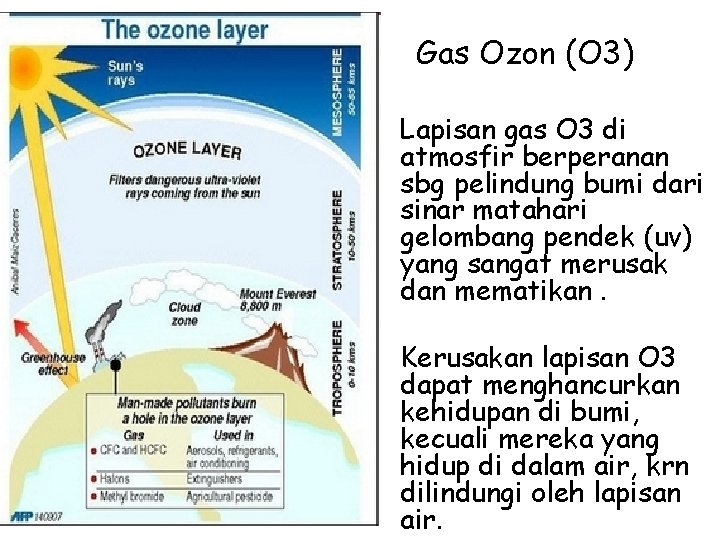Gas Ozon (O 3) • Lapisan gas O 3 di atmosfir berperanan sbg pelindung