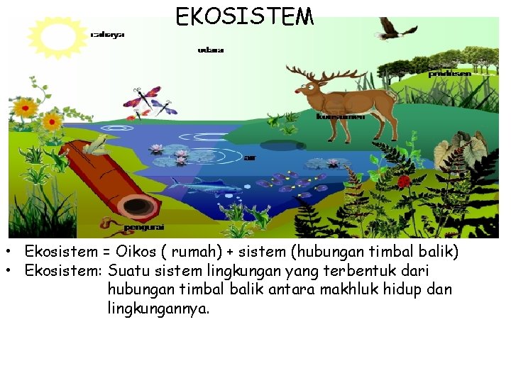 EKOSISTEM • Ekosistem = Oikos ( rumah) + sistem (hubungan timbal balik) • Ekosistem: