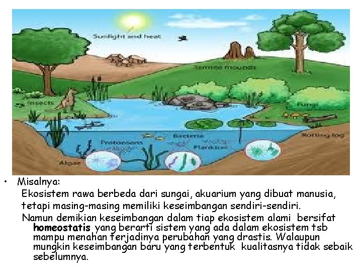  • Misalnya: Ekosistem rawa berbeda dari sungai, akuarium yang dibuat manusia, tetapi masing-masing