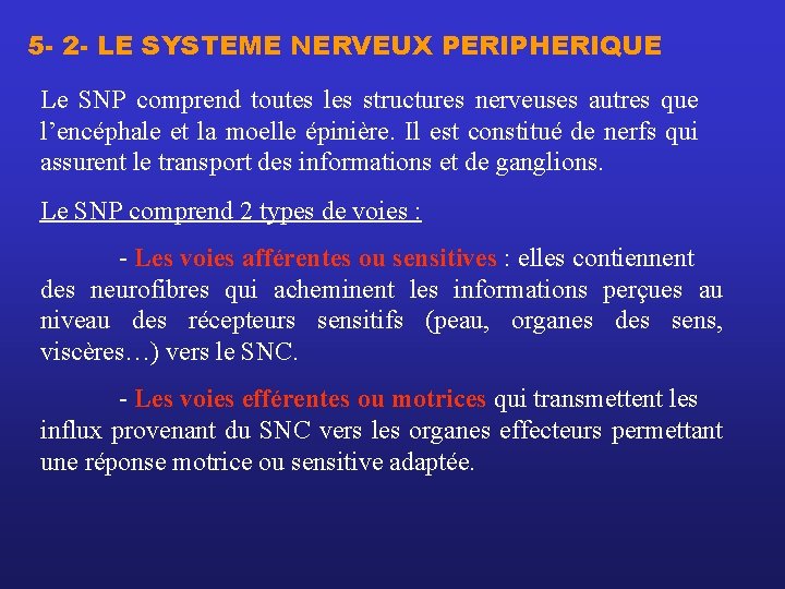 5 - 2 - LE SYSTEME NERVEUX PERIPHERIQUE Le SNP comprend toutes les structures