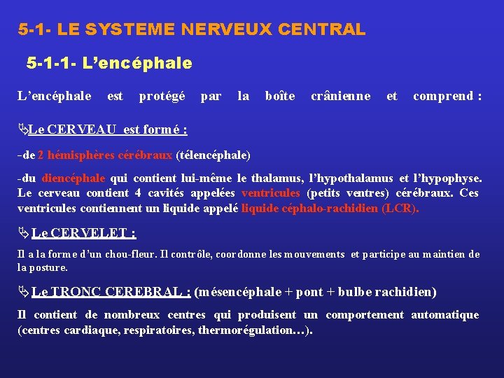 5 -1 - LE SYSTEME NERVEUX CENTRAL 5 -1 -1 - L’encéphale est protégé