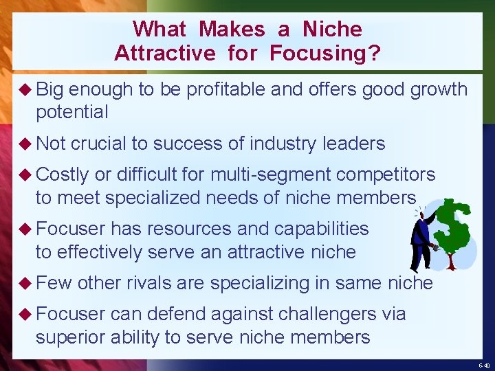 What Makes a Niche Attractive for Focusing? u Big enough to be profitable and