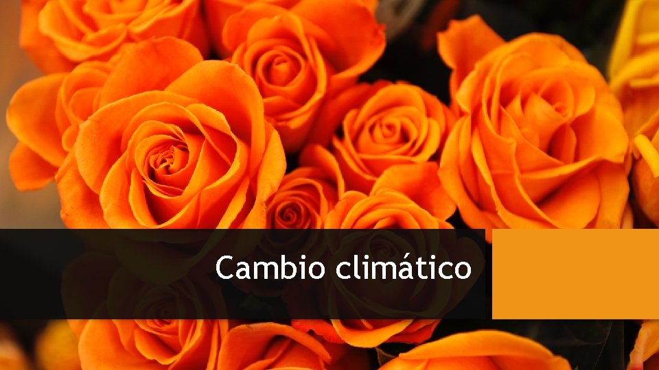 Cambio climático 