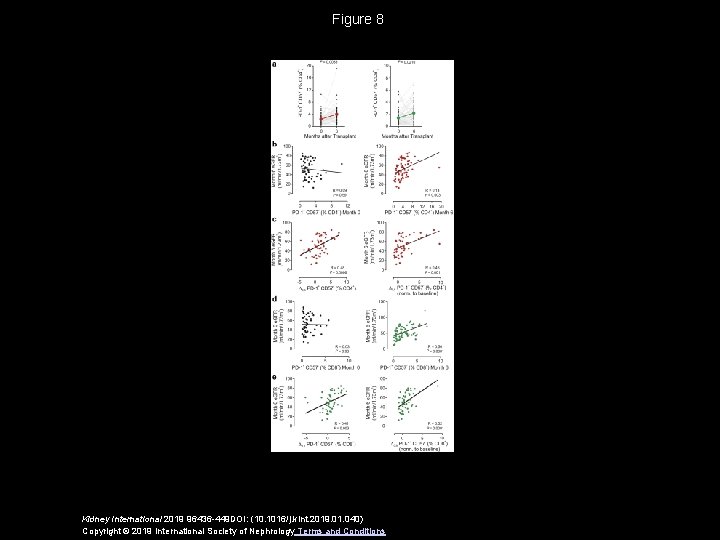 Figure 8 Kidney International 2019 96436 -449 DOI: (10. 1016/j. kint. 2019. 01. 040)