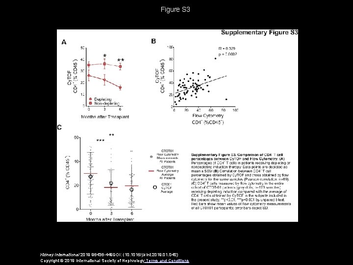 Figure S 3 Kidney International 2019 96436 -449 DOI: (10. 1016/j. kint. 2019. 01.