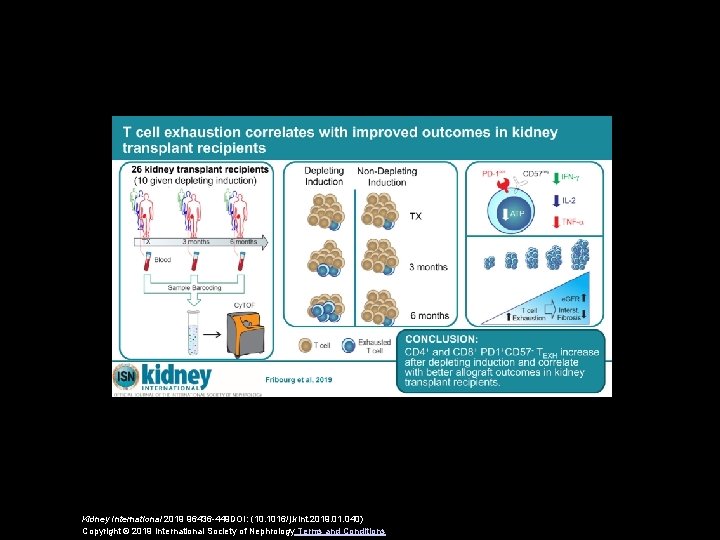 Kidney International 2019 96436 -449 DOI: (10. 1016/j. kint. 2019. 01. 040) Copyright ©