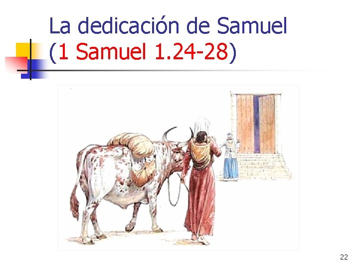 La dedicación de Samuel (1 Samuel 1. 24 -28) 22 
