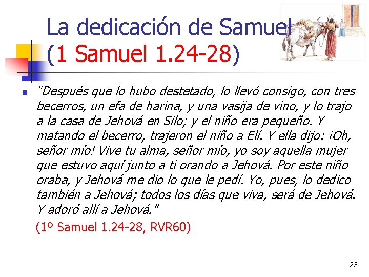 La dedicación de Samuel (1 Samuel 1. 24 -28) n "Después que lo hubo