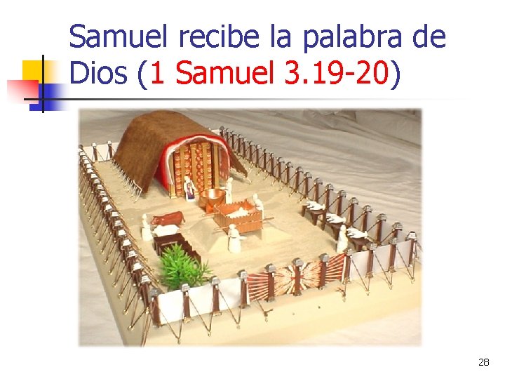 Samuel recibe la palabra de Dios (1 Samuel 3. 19 -20) 28 