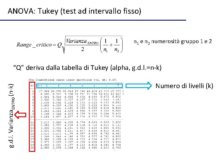 ANOVA: Tukey (test ad intervallo fisso) n 1 e n 2 numerosità gruppo 1