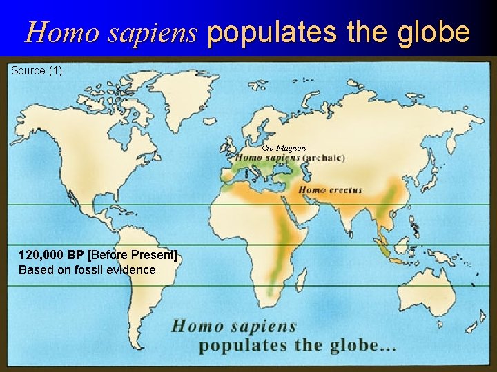 Homo sapiens populates the globe Source (1) Cro-Magnon 120, 000 BP [Before Present] Based
