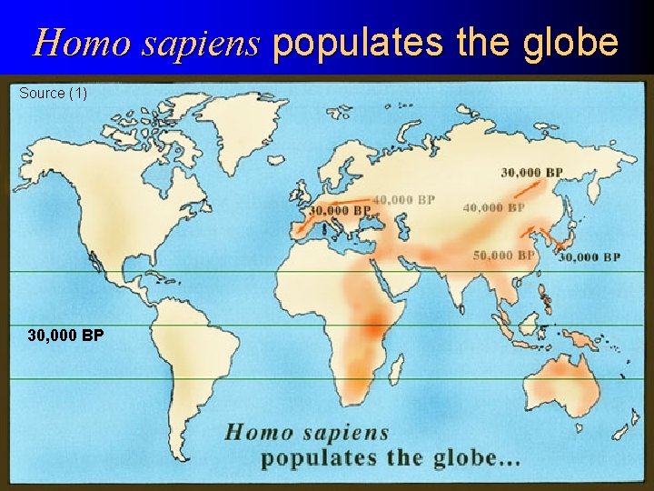 Homo sapiens populates the globe Source (1) 30, 000 BP Module 1 Architectural History