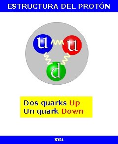 ESTRUCTURA DEL PROTÓN Dos quarks Up Un quark Down NM 4 