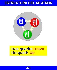 ESTRUCTURA DEL NEUTRÓN Dos quarks Down Un quark Up NM 4 