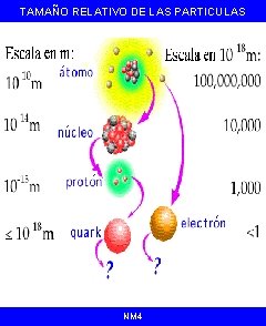 TAMAÑO RELATIVO DE LAS PARTICULAS NM 4 