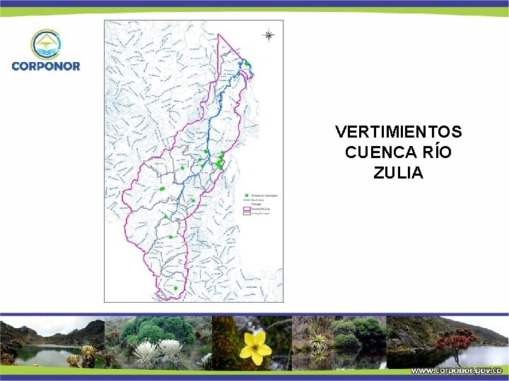 VERTIMIENTOS CUENCA RÍO ZULIA 