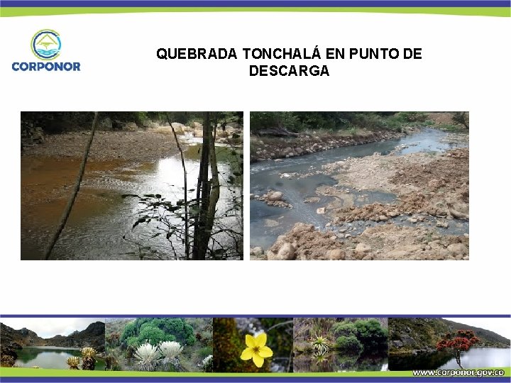 QUEBRADA TONCHALÁ EN PUNTO DE DESCARGA 