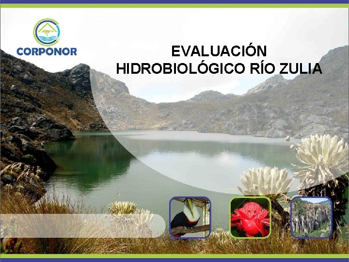 EVALUACIÓN HIDROBIOLÓGICO RÍO ZULIA 
