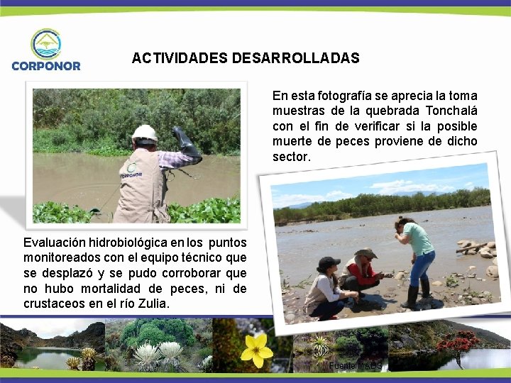 ACTIVIDADES DESARROLLADAS En esta fotografía se aprecia la toma muestras de la quebrada Tonchalá