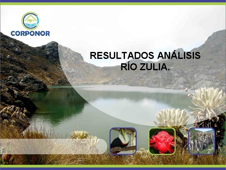 RESULTADOS ANÁLISIS RÍO ZULIA. 