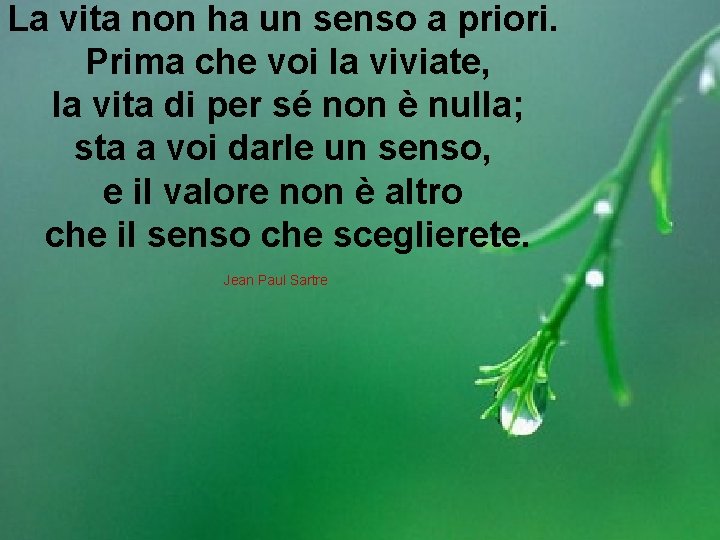 La vita non ha un senso a priori. Prima che voi la viviate, la