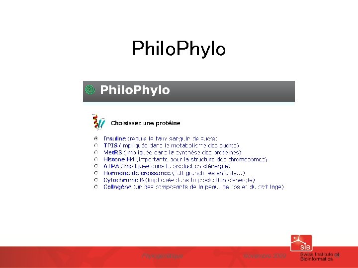 Philo. Phylogénétique Novembre 2009 14 