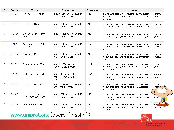 www. uniprot. org (query ‘insulin’) Phylogénétique Novembre 2009 17 