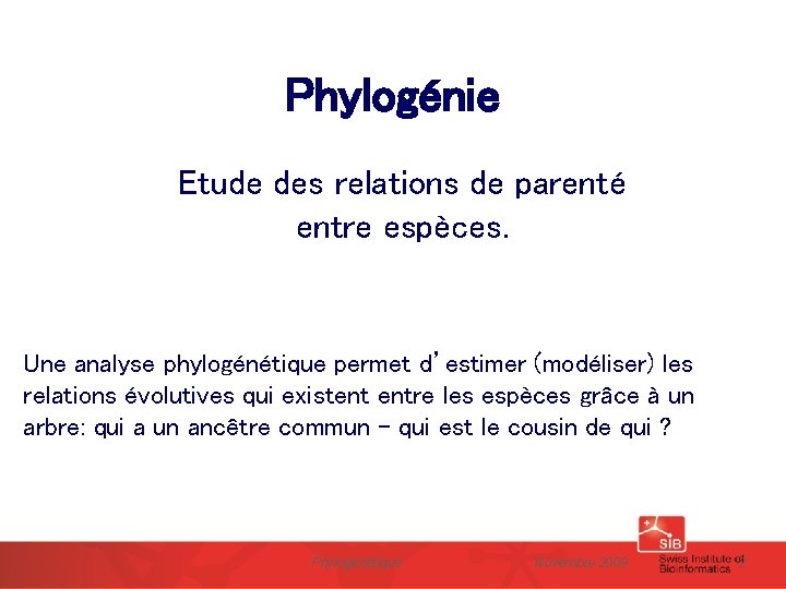 Phylogénie Etude des relations de parenté entre espèces. Une analyse phylogénétique permet d’estimer (modéliser)
