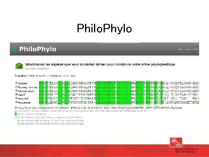 Philo. Phylogénétique Novembre 2009 21 