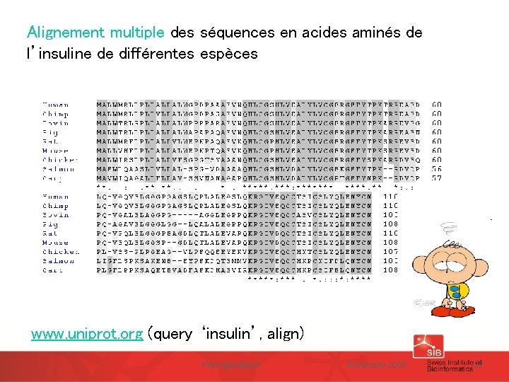 Alignement multiple des séquences en acides aminés de l’insuline de différentes espèces www. uniprot.