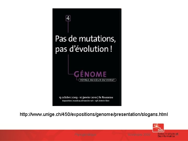 http: //www. unige. ch/450/expositions/genome/presentation/slogans. html Phylogénétique Novembre 2009 23 