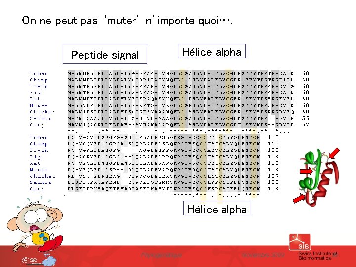 On ne peut pas ‘muter’ n’importe quoi…. Hélice alpha Peptide signal Hélice alpha Phylogénétique