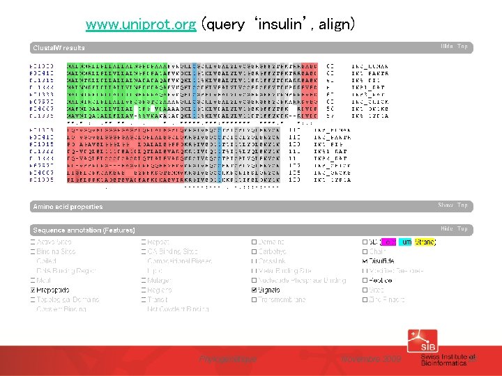 www. uniprot. org (query ‘insulin’, align) Phylogénétique Novembre 2009 28 