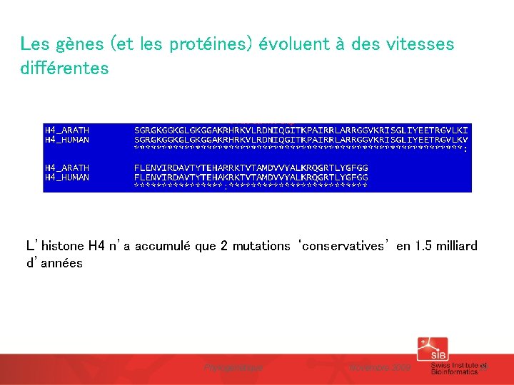 Les gènes (et les protéines) évoluent à des vitesses différentes L’histone H 4 n’a