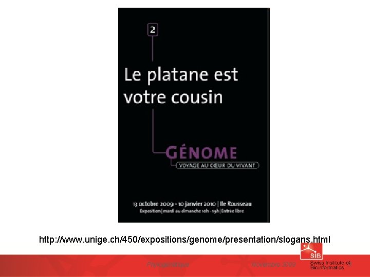 http: //www. unige. ch/450/expositions/genome/presentation/slogans. html Phylogénétique Novembre 2009 3 