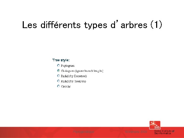 Les différents types d’arbres (1) Phylogénétique Novembre 2009 37 